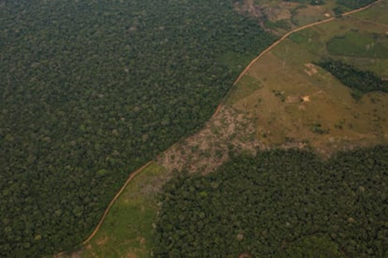 El catastro de tierras de las disidencias en el Guaviare avanza más rápido que el del Estado